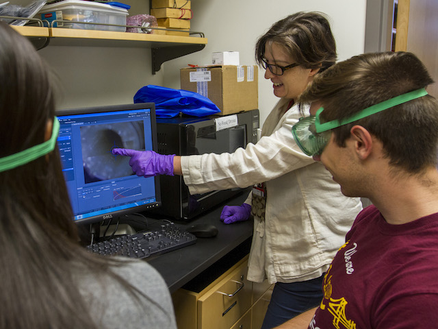 Rosalind Sadleir (middle) is leading research to develop methods of producing images of the most fundamental signatures of brain activity.  Photo by Jessica Hochreiter/ASU.