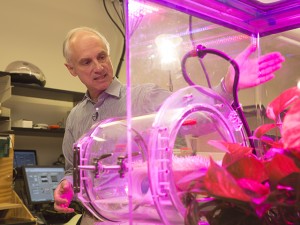 Klaus Lackner, director of the Center for Negative Carbon Emissions at ASU, is shown monitoring carbon dioxide and atmospheric conditions to optimize plant growth and test moisture swing sorption technology designed to boost microalgae production. Photographer Jessica Hochreiter/ASU.