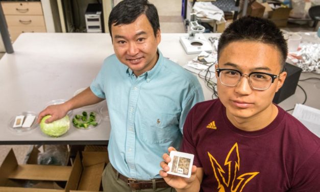 ASU ENGINEERS DEVELOPING EDIBLE MEDICAL DEVICES