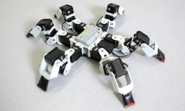 THIS SIX-LEGGED ROBOT WALKS MORE EFFICIENTLY THAN AN INSECT