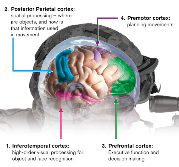 Illustration of a human brain with a caption of "The project will focus on increasing the brain’s capabilities by enabling more intense concentration, and enhancing neuroplasticity to expand an individual’s ability to learn more quickly and thoroughly.