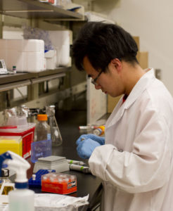 Photo of male student working in a lab with a caption of "Biomedical engineering doctoral student Fuqing Wu conducted the experiments to test Wang’s theories about the mechanisms of cell differentiation. Photographer: Jessica Hochreiter/ASU"