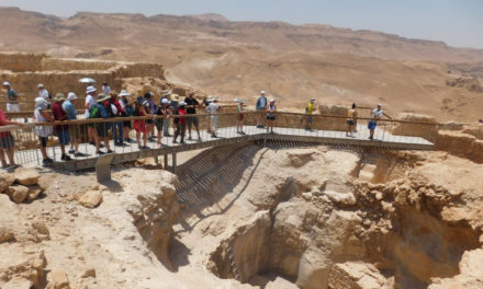 Educational excursion: Faculty members seeking insights in Israel