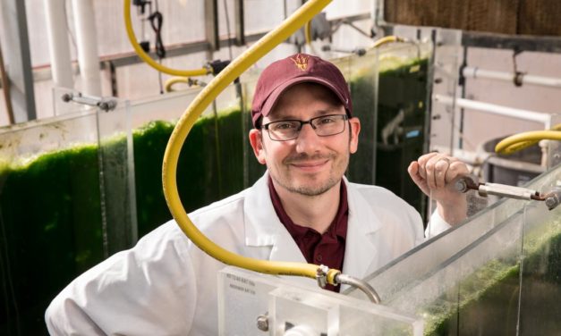 ASU developing biodegradable plastics made from bacteria