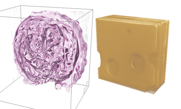 Red cabbage and Swiss cheese produce interest in science
