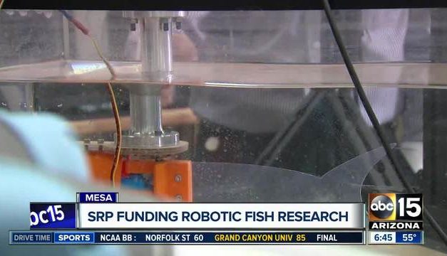 Robotic fish could help solve problem in Arizona canals