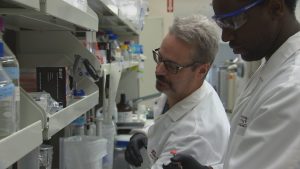 ASU DEVELOPING PATCH TO TEST FOR DISEASES, INFECTIONS USING SWEAT