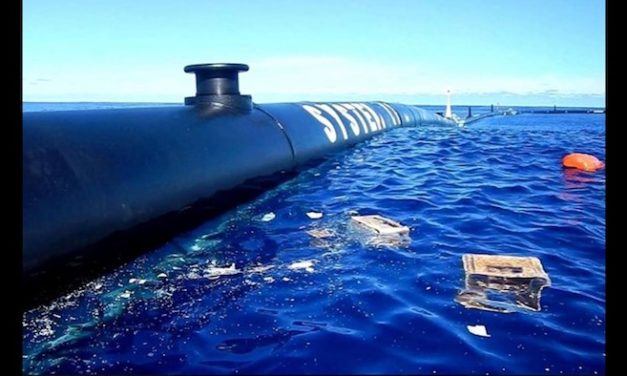 This is what’s cleaning the Great Pacific Garbage Patch