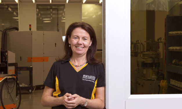 Ann McKenna named 2019 ASEE Fellow for achievements in engineering education