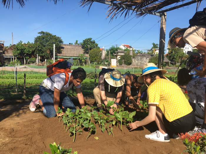 Service-learning trip has ASU and Vietnamese students co-develop smart farm technology