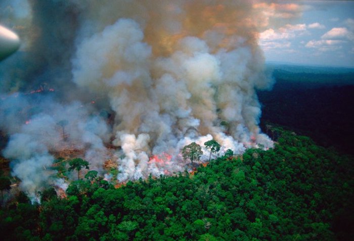 Fires in the Amazon: Arizona researchers determine what’s true, what’s not