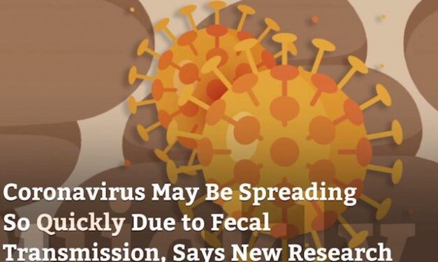 Covid 19: CDC Report On Feces And Coronavirus Will Change How You Use The Bathroom
