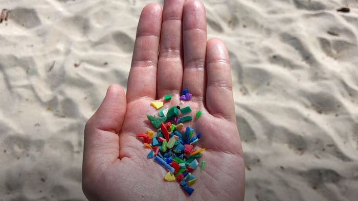 MANY HUMAN ORGANS ARE VULNERABLE TO MICROPLASTICS IN THE ENVIRONMENT, NEW STUDY DEMONSTRATES