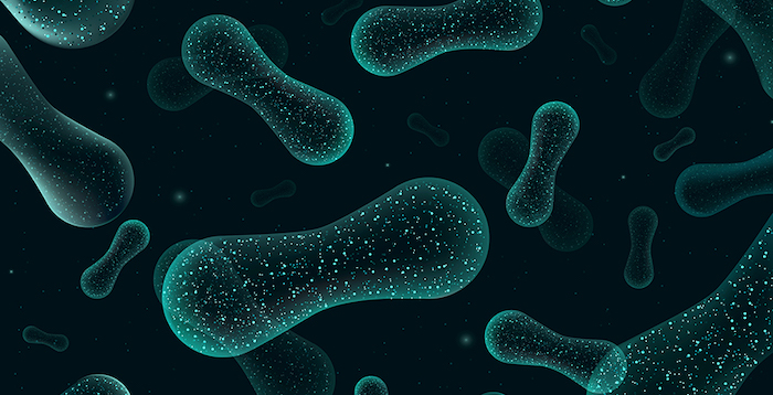 Managing the microbiome raises new hope for autism treatment