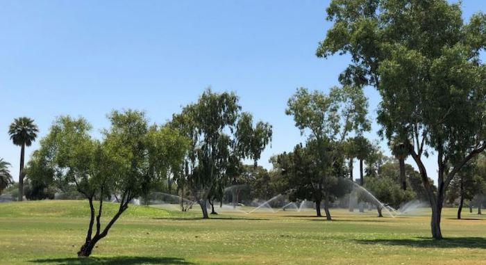 ‘Oasis effect’ in urban parks could contribute to greenhouse gas emissions, ASU study finds