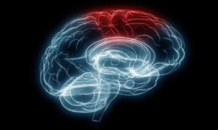 Brain injury research explores sex-dependent therapeutics