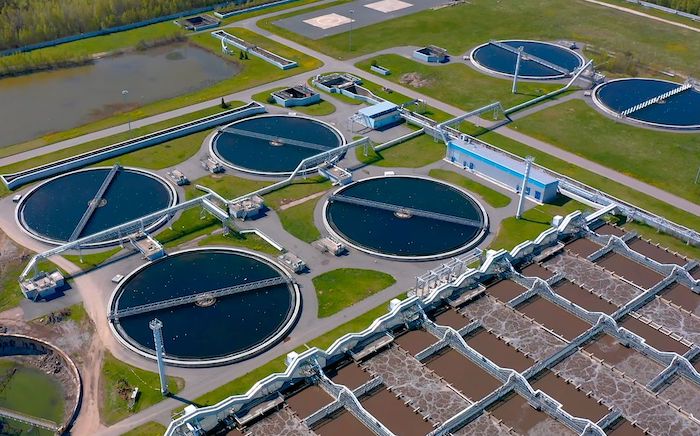 Microbes for better sewage treatment