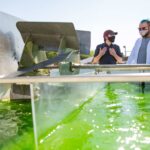 Empowering algae to shape the future of bioenergy