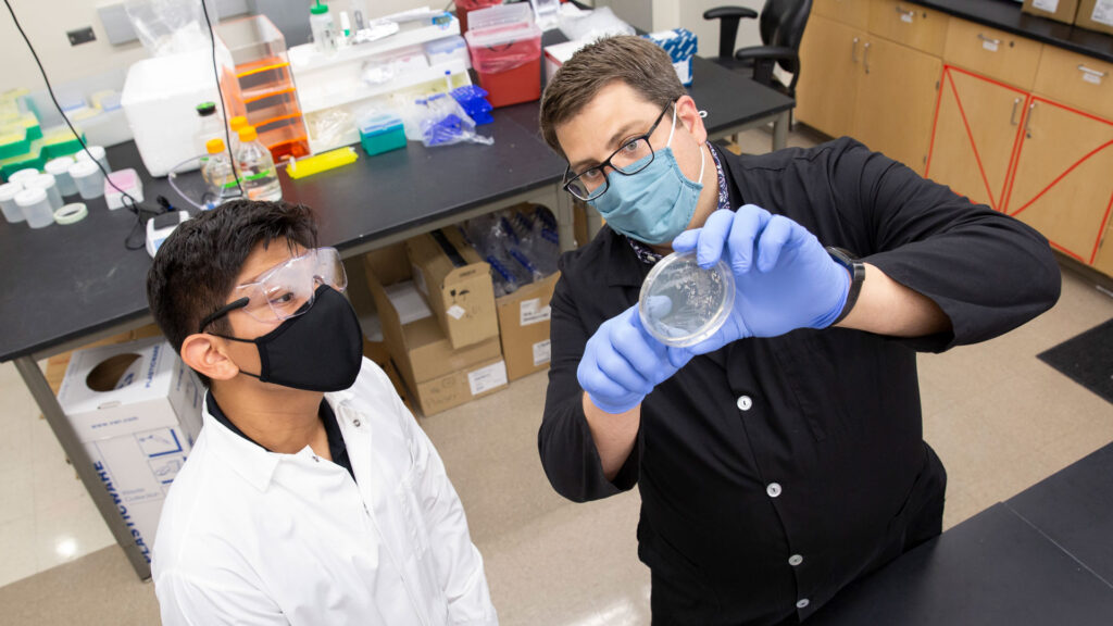 FURI student Margarito Hernandez Fuentes works with Assistant Professor Christopher Plaisier