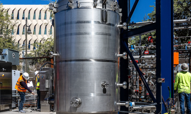 First ‘Mechanical Tree’ installed on ASU’s Tempe campus