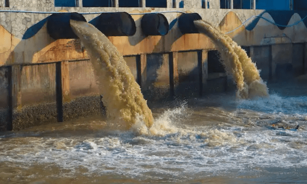 Rice University Researches Ammonia Removal From Wastewater