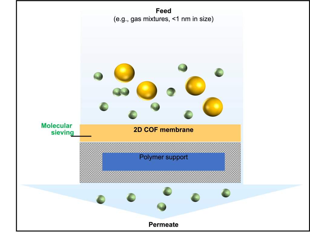 Graphic of COF membrane separation process.