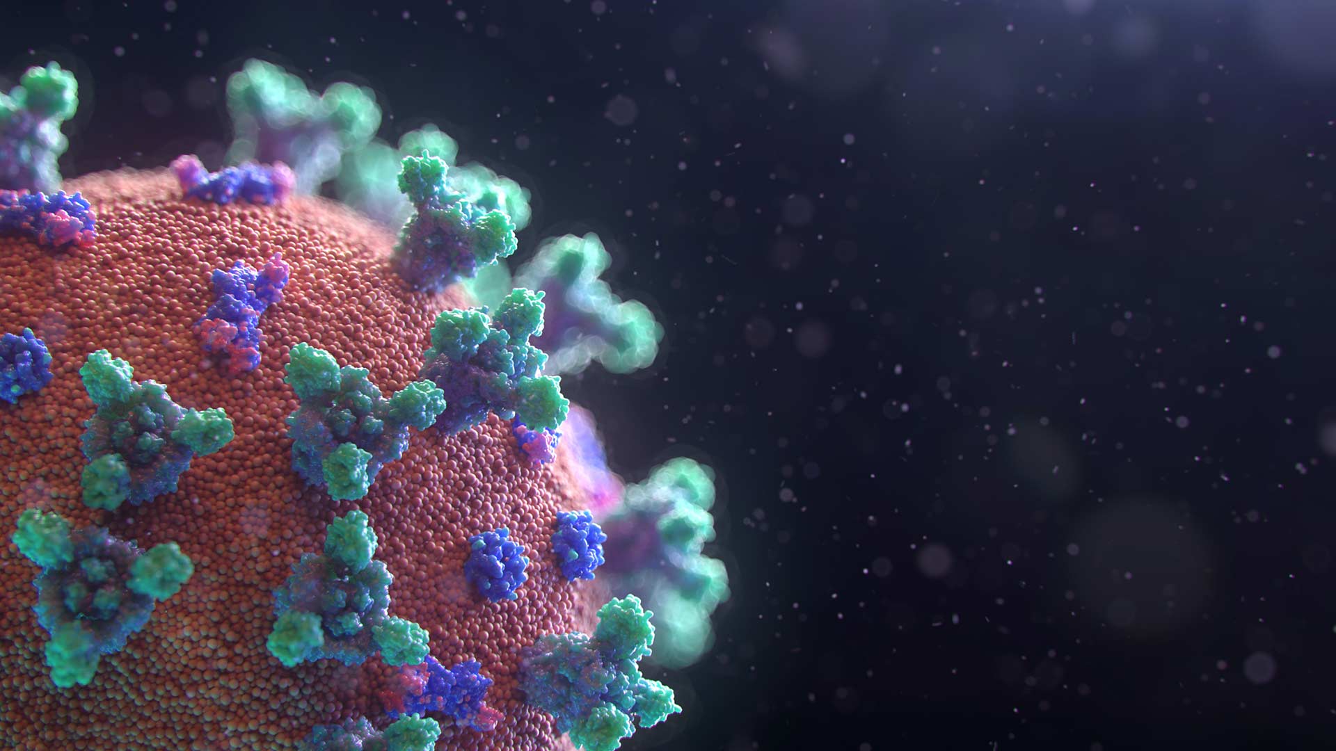 simulated image of COVID-19 virus