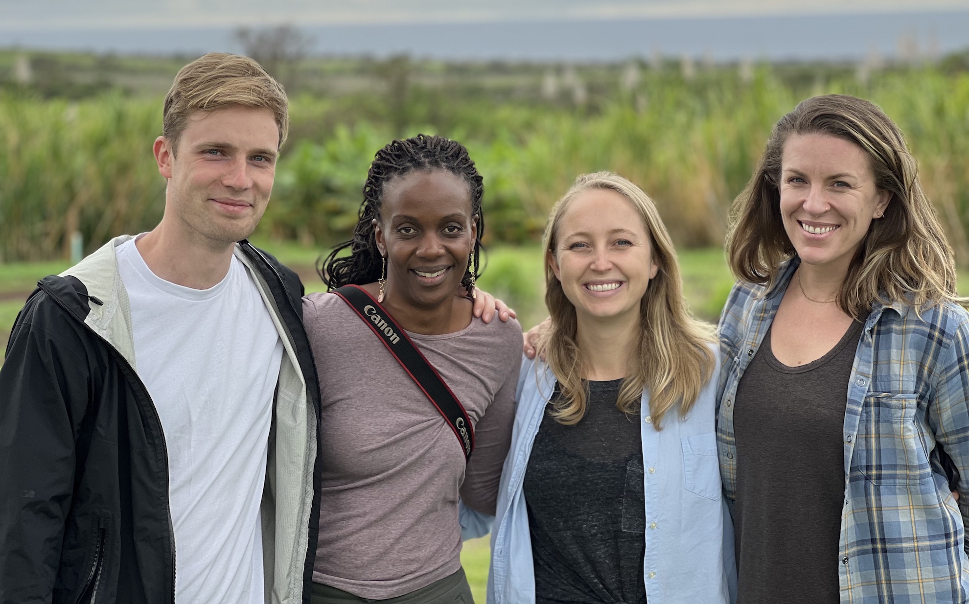 Four researchers in a taro field in Hawaii