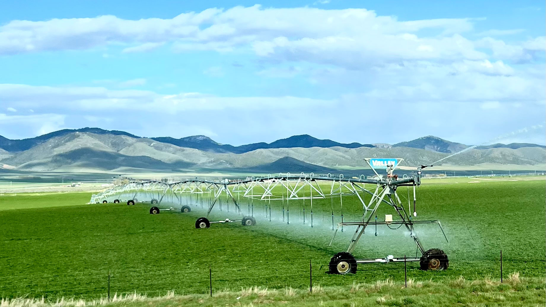 A central pivot sprinkler system in an agricultural plot.