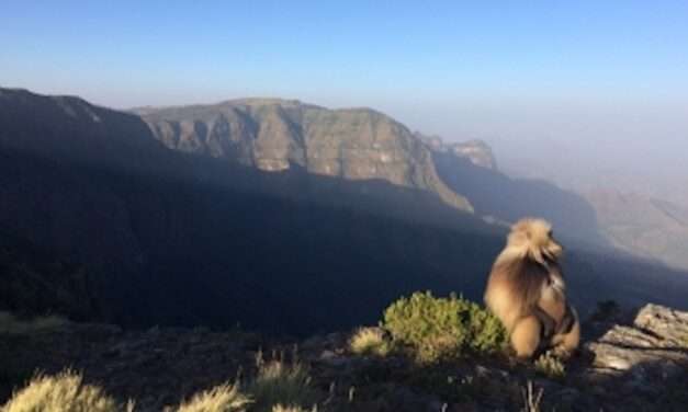 ASU team helps protect World Heritage Site in Ethiopia