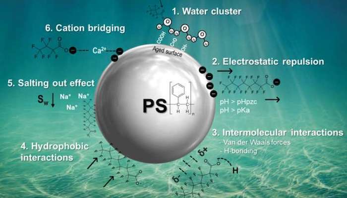 New model for predicting adsorption of PFAS by microplastics