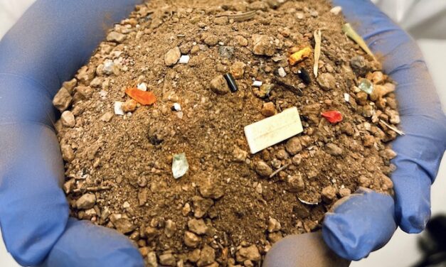 ASU researchers find increasing concentrations of microplastics in Valley soil samples