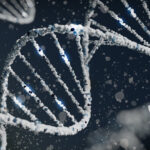 $6M in grants boosts convergence on DNA-enabled electronics