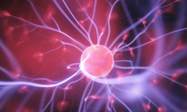 ASU professor on Neuralink’s next steps as first human trial of brain implant begins