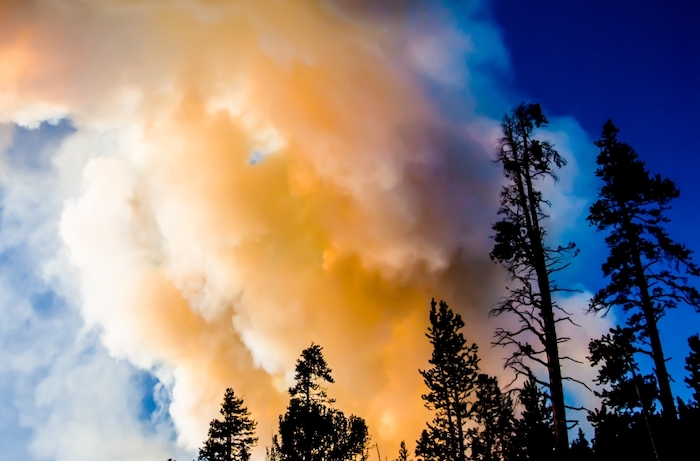 ASU team awarded $1.9M grant from EPA to support wildfire preparedness across Arizona