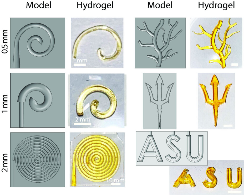 A series of images depicting theoretical and practical uses of ImmunoShield's hydrogel injection molding process.