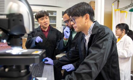 Bending the rules: ASU students spearhead graphene-metal inventions