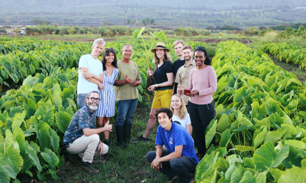 Harvesting satellite insights for Maui County farmers