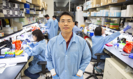 Using nature’s playbook to keep engineered cells on script